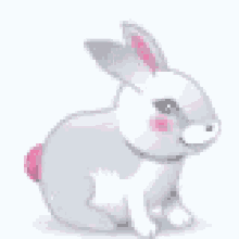 White Bunnt Pink Heart Tail GIF - White Bunnt Pink Heart Tail Bunny GIFs