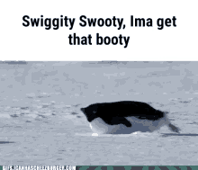 booty gb