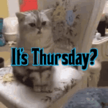 Thursday Its Thursday GIF - Thursday Its Thursday GIFs