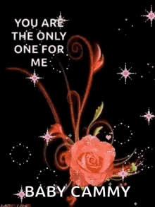 Love Only One GIF - Love Only One Sparkles GIFs