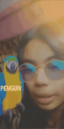 abhilasha pet penguin abhilasha parrot abhilasha cool abhilasha pet parrot