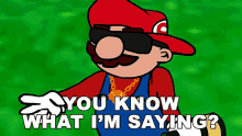 You Know What Im Saying Mario GIF - You Know What Im Saying Mario Rucka Rucka Ali GIFs