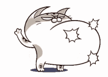 ami fat cat fatty belly angry eyes
