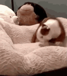 Flippy Flopper GIF - Puppies Dogs Dancing GIFs