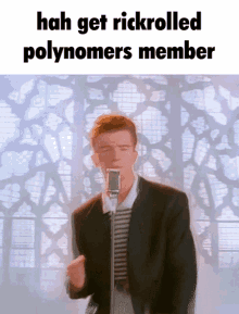 This Cat Is D Polynomers GIF - This Cat Is D Polynomers Polynomer GIFs