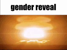 gender reveal nuke gender reveal v2