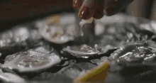 Jeremiah Tower Oyster GIF - Oyster Lemon Food Porn GIFs