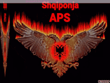 shqiponjaaps shqiponjaaps