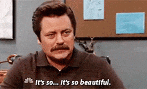 Ron Swanson Parks And Rec GIF - Ron Swanson Parks And Rec Its So Beautiful GIFs