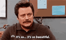 ron swanson parks and rec its so beautiful