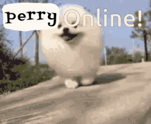 Perry Online GIF - Perry Online Perry Online GIFs