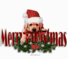 Puppy Cute GIF - Puppy Cute Merry Christmas GIFs