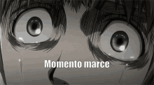Momento Momento Marce GIF - Momento Momento Marce Momento Marcelino GIFs
