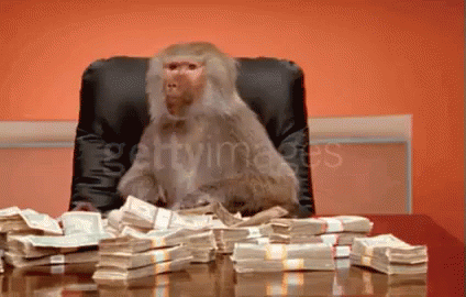 monkey-money.gif