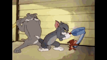Dude Perfect Loop Tom And Jerry GIF - Dude Perfect Loop Tom And Jerry Dp GIFs