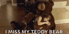 Teddy Bear Hug GIF - Teddy Bear Hug Bear Hug GIFs