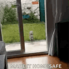 Home Safe GIF - Home Safe Funny Cat GIFs