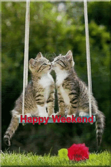 Hétvége Happy Weekend GIF - Hétvége Happy Weekend Cat GIFs