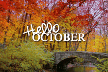 Hello October GIF - Hello October GIFs