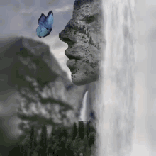 Mother Nature Love GIF - Mother Nature Love Falls GIFs