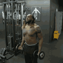 greekphysiquetweez gym time workout bicepcurls