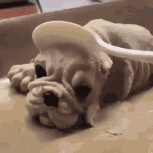 Haha Dog GIF - Haha Dog Cake GIFs