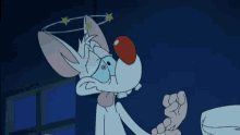 Pinky Pinky And The Brain GIF - Pinky Pinky And The Brain Dizzy GIFs