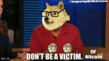 sofakingdoge sofakingdoge