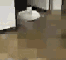 Sliding Cat Gato Con Lag GIF - Sliding Cat Gato Con Lag GIFs