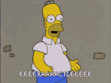Homer Homer Simpsons GIF - Homer Homer Simpsons Exaclty GIFs