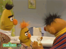 Sesame Street Ernie GIF - Sesame Street Ernie Bert GIFs