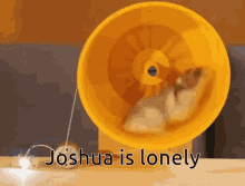Joshua Is Llonely GIF - Joshua Is Llonely GIFs