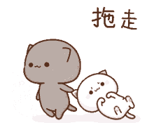 catnap kidnap kidnap cat lets go lazy catnap kidnap kidnap cat lets go lazy