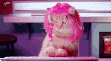 Cat Typing GIF - Cat Typing GIFs