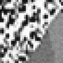 pixel flashy black and white trippy cyberdelic