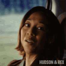 Oh Come On Sarah Truong GIF - Oh Come On Sarah Truong Hudson And Rex GIFs