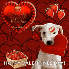 be my valentine valentines day dog happy valentines day dog strawberries heart