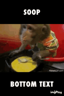 monkey eating soup soop bottom text