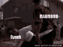 mahmoud d2 synek fight