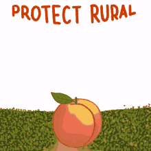 protect rural georgians freedom to vote how they choose freedom to vote rural georgia peach