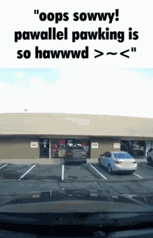Oops Sowwy GIF - Oops Sowwy Parallel Parking GIFs