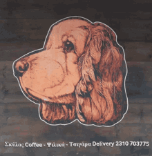 skylos skyloscafe skyloskafe skyloskafeteria skyloscoffee skylos skyloscafe skyloskafe skyloskafeteria skyloscoffee