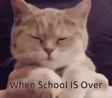 Schools Out GIF - Schools Out GIFs