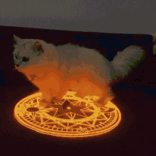 Cat Satanic GIF - Cat Satanic Satan GIFs