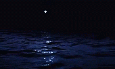 [Image: alone-middle-of-the-ocean.gif]