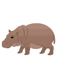 hippopotamus fat
