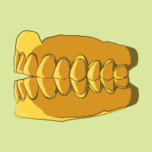 Cartoon Buck Teeth Gifs Tenor