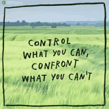Control What You Can Confront What You Cant Gifkaro GIF - Control What You Can Confront What You Cant Gifkaro Face Your Problems GIFs