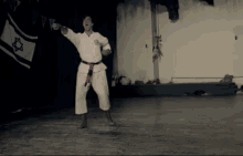 Taekwondo Haiii GIF - Taekwondo Haiii Kick GIFs