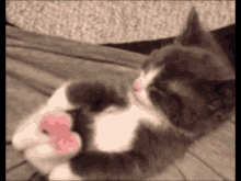 Kedi Stretch Cat GIF - Kedi Stretch Cat Kitten GIFs